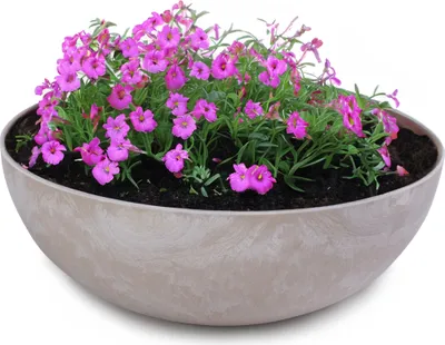 Produktbild von Runde bauchige 20 cm Pflanzschale für draussen, sand marmoriert