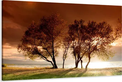 Obrázek produktu pro Obraz 120 x 80 cm na plátně Stromy přírody 5025 - Obrazy/nástěnný obraz/umělecký tisk jsou již zarámované