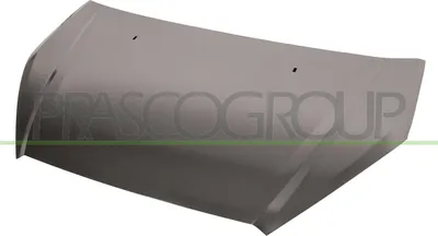 Produktbild von PRASCO FD7323100 Motorhaube für FORD S-MAX (WA6)
