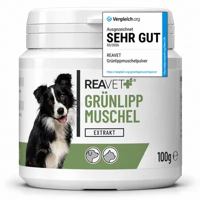 Produktbild von REAVET Grünlippmuschel Extrakt Pulver 100g für Hunde & Katzen | Grünlippmuschelpulver Hund, Grünlippmuschelextrakt hochdosiert nach behandelter Arthrose Arthritis