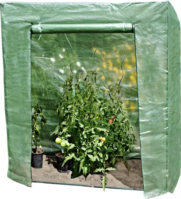 Produktbild von floraworld Tomatenhaus 195x60x215/195 cm