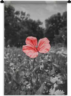 Produktbild von MuchoWow® Wandteppich Wandbehang Blumen - Rosa - Schwarz - Weiß 60x90 cm Tapisserie Dekoration Wandtuch - Foto-Teppich - Abwaschbar