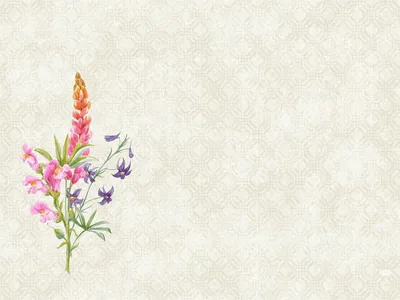 Produktbild von Dunicel Tischsets Floret 100 Stück 1er Pack