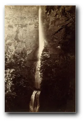 Produktbild von Kunstdruck „Multnomah Falls – Kaskade“ von Carleton E. Watkins – 30×45 cm – ungerahmt