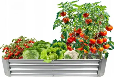 Zdjęcie produktu dla Podwyższona grządka 180 x 90 x 30 cm, prostokątna, ocynkowana – grządka ogrodowa, donica, skrzynka na kwiaty, grządka warzywna, inspekt, grządka na zioła, obrzeże grządki, krawędź grządki 8298