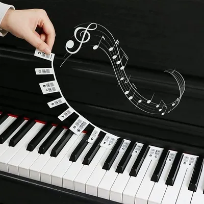 Produktbild von Aufkleber schwarz Kieselgel Entfernbar Klavier Keyboard für 88 Tasten Tastatur