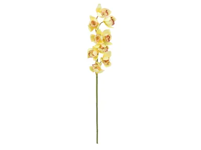 Immagine prodotto di EUROPALMS Ramo di Cymbidium, artificiale, giallo, 90 cm (82530314)