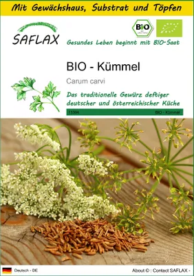Produktbild von SAFLAX Anzucht Set - BIO - Kümmel - Carum carvi - 800 Samen - Mit Mini-Gewächshaus, Anzuchtsubstrat und 2 Töpfen