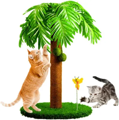 Immagine prodotto di Albero per gatti, altezza 78 cm, con palline oscillanti, corda in sisal e legno