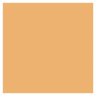 Produktbild von AMANN Nähgarn Saba 100 - 1000m - Orange-Töne 1507