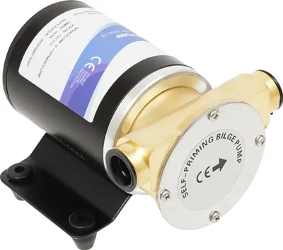Image de Pompe à eau, débit 30L/min, puissance 120W, 12V, noir, EU