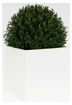 Produktbild von Pflanzkübel Weiß 49x47x46 cm Stahl, Blumentopf für Balkon, Terrasse und Garten