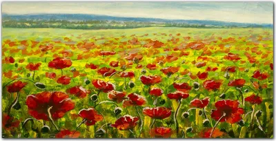 Produktbild von Coloray Küchenrückwand 100x50 Spritzschutz aus Glas - Malerei Blumen Wiese Mohnblumen