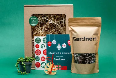 Obrázok produktu pre Gardners Vianočná darčeková sada - Senecio rowleyanus Sada a substrát