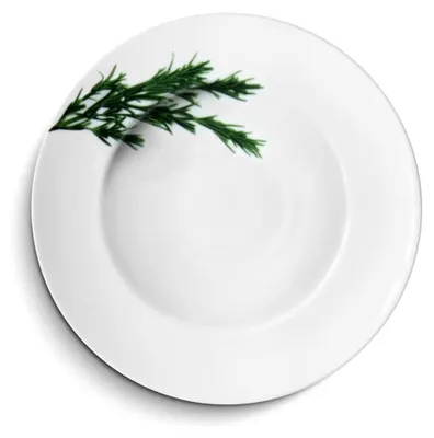 Produktbild von EUROPA KRÄUTER - Pastateller 27 cm aus Porzellan