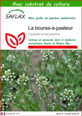 Image de SAFLAX  - La bourse-à-pasteur - 1000 graines - Avec substrat - Capsella