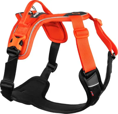 Produktbild von Non-stop dogwear Hundegeschirr Ramble Harness orange/schwarz