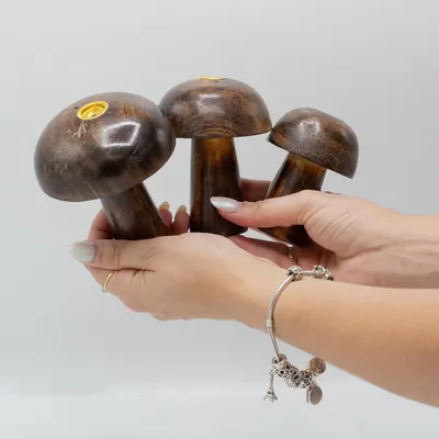 Imagen del producto de Juego de 3 inciensos en forma de setas (10 cm, 9 cm, 8 cm)