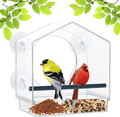 Produktbild von Famanu Fensterfutterstelle für Vögel - Transparente Futterstelle mit Saugnäpfen