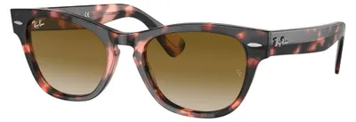 Produktbild von Ray Ban RB2201 Laramie Uni-Sonnenbrille mit Vollrand, Kunststoff