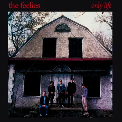 Produktbild von Feelies: Only Life