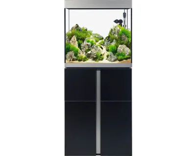 Produktbild von Aquariumkombination Fluval Siena 166 mit LED-Beleuchtung, Heizer, Außenfilter und Unterschrank 166 l Schwarz 55 x 55 x 1