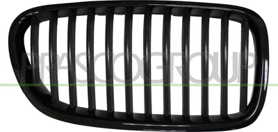 Produktbild von PRASCO BM0482004 Kühlergrill Frontgrill für BMW 5 Touring (F11) Links Chrom/Schwarz