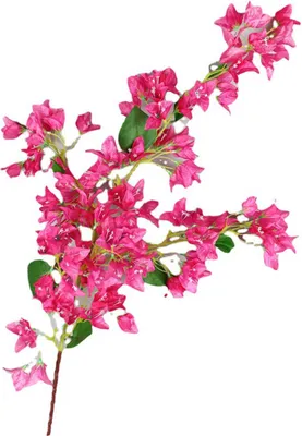Obrázek produktu pro 120cm umělé hedvábné větve Bougainvillea Faux Rose Red Bougainvillea s železnými drátěnými stonky pro svatební výzdobu