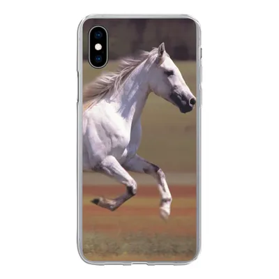 Produktbild von MuchoWow® Handyhülle Schutzhülle Hülle für iPhone Xs Pferd - Licht - Gras Silikon Softcase Handy Hülle - Handytasche