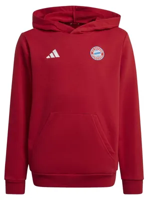 Produktbild von FC Bayern Munich - Kapuzenpullover für Kinder PP4384 (152-158) (Rot)