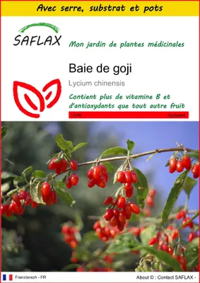 Image de SAFLAX Ensemble de culture - Baie de goji - 200 graines - Lycium