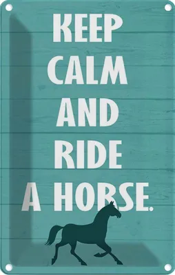 Produktbild von vianmo Blechschild 18x12 cm keep calm and ride a horse Pferd Yoga