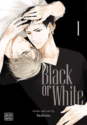 Produktbild von Black or White, Vol. 1