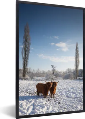 Produktbild von MuchoWow® Gerahmtes Poster Schottischer Highlander - Licht - Schnee 60x90 cm - Poster mit Schwarzem Bilderrahmen Wandposter Rahmen Foto Bilder - Kunst