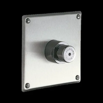 Image de Robinet de chasse pour urinoir Delabie TEMPOSTOP G1/2 encastré/plaquette 7 s.