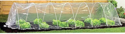A tunnel greenhouse with lettuce plants growing inside, set up in a garden.
