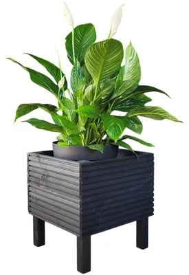 Obrázok produktu pre Drevený kvetináč na nožičkách do interiéru a na balkón, čierny 40x40 BLACK