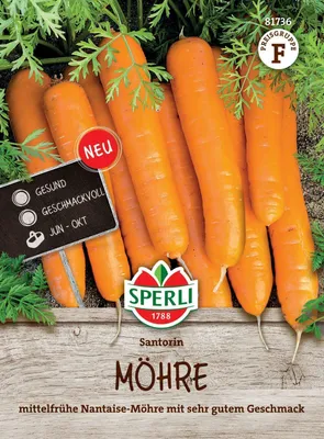 Produktbild von SPERLI Möhrensamen Santorin F1 Daucus carota 3-4 lfd. Meter