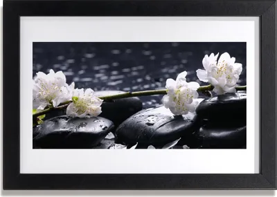 Produktbild von Bild 30x20 MDF-Rahmen Wandkunst Blume Steine