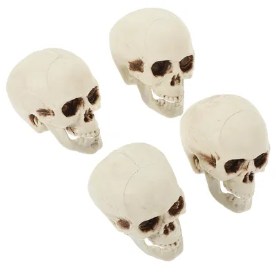 Productafbeelding van Set van 4 Mini Skeletkoppen van Kunststof voor Halloween Decoratie