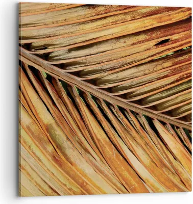 Produktbild von Bild auf Leinwand - Leinwandbild - Einteilig - Orange Blatt Tropisch - 70x70cm - Wand Bild - Wanddeko - Wandbilder - Leinwanddruck - Bilder - Wanddekoration - Leinwand bilder - Wandbild - AC70x70-4876