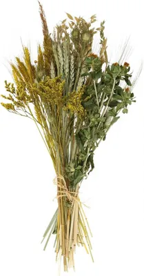 Produktbild von Trockenblumen DIY Set für stilvolle Dekoration und kreative Floristik