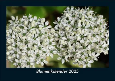 Produktbild von Blumenkalender 2025 Fotokalender DIN A5