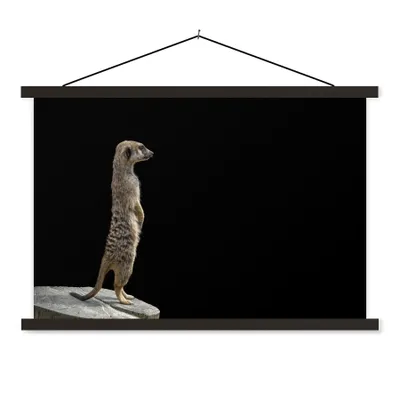 Produktbild von MuchoWow® Textilposter Erdmännchen - Wilde Tiere - Schwarz 90x60 cm mit schwarzem Rahmen - Aufhängungssatz