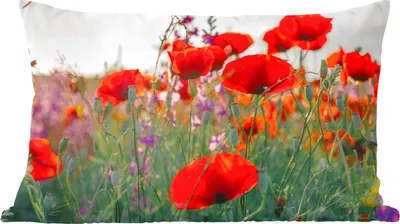 Produktbild von MuchoWow® Zierkissen Sofakissen Wohnzimmer Dekokissen 50x30 cm Mohn - Blumen - Rot - Lila - Wiese - Wohnzimmerdekoration - Polster mit Photo