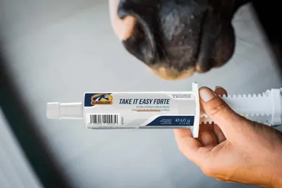 Productafbeelding van Cavalor Take It Easy Forte Paste 6x60 gram