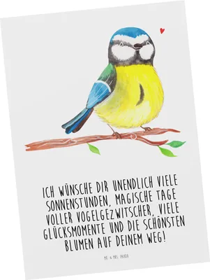 Produktbild von Mr. & Mrs. Panda Postkarte Vogel Blaumeise - Weiß - Geschenk, Ansichtskarten, Ostergrüße, Liebe Grüße, Ansichtskarte, Ostern, Frühling, Osterhase, bildkarte, Grußkarte