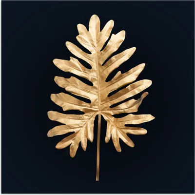 Produktbild von MuchoWow® Poster Blätter - Herbst - Gold - Schwarz - Natur - Luxus 50x50 cm - Wohnzimmerdekoration
