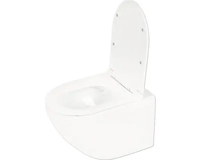 Produktbild von Differnz Wand-WC Set WC Tiefspüler ohne Spülrand weiß glänzend mit WC-Sitz 38.500.04