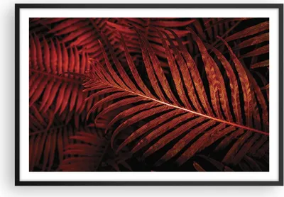 Produktbild von Gerahmtes Poster - Schwarzer Rahmen - Rot Blätter Palmen - 91,5x61 cm - Wand Bild - Wanddeko - Wandbilder - Kunstposter - Wandposter - Bilderrahmen - Bilder - Kunstdruck - P2BAA91x61-4816